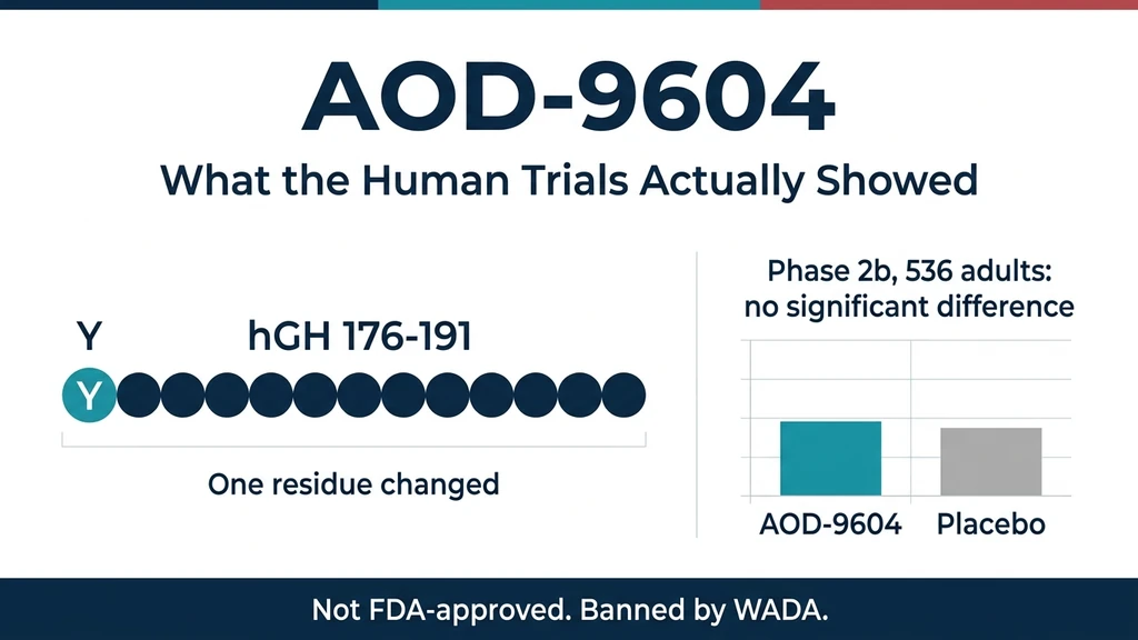 AOD 9604 peptide explained: modified human growth hormone fragment, mechanism, and clinical trial evidence