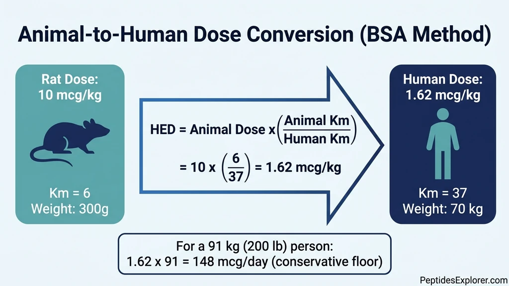BPC-157 animal-to-human dose conversion using BSA method showing rat 10 mcg/kg converts to human 1.62 mcg/kg