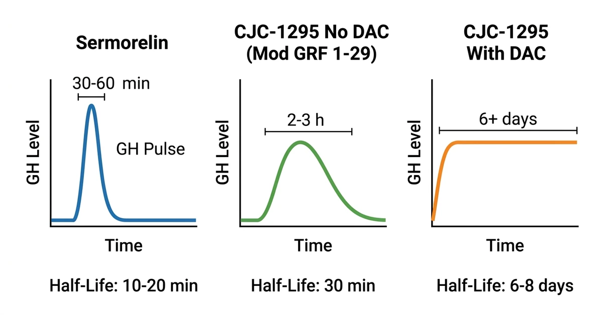 CJC-1295 vs sermorelin GH release pattern comparison: sustained vs pulsatile
