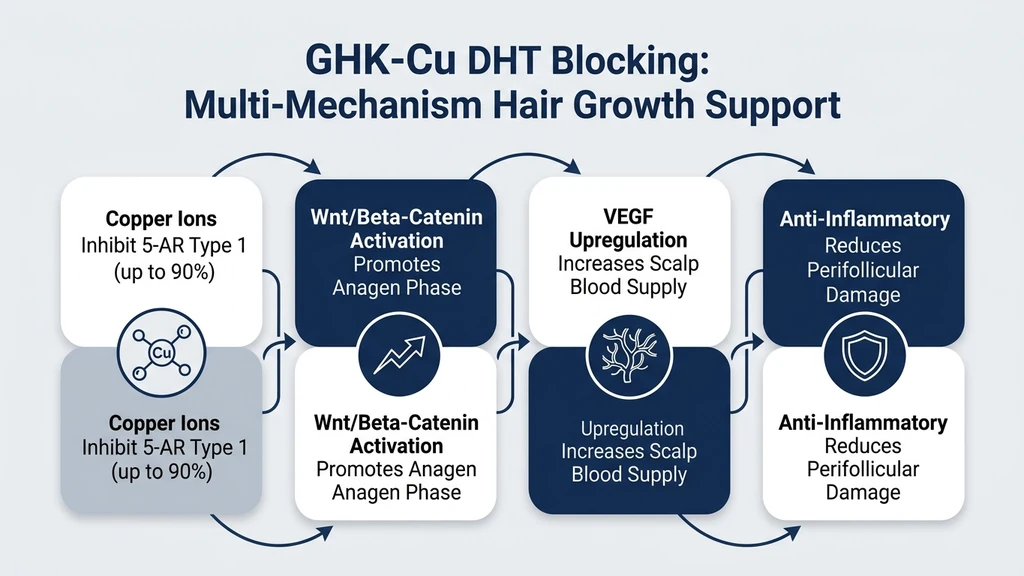 GHK-Cu DHT blocking mechanism: four pathways for hair growth support