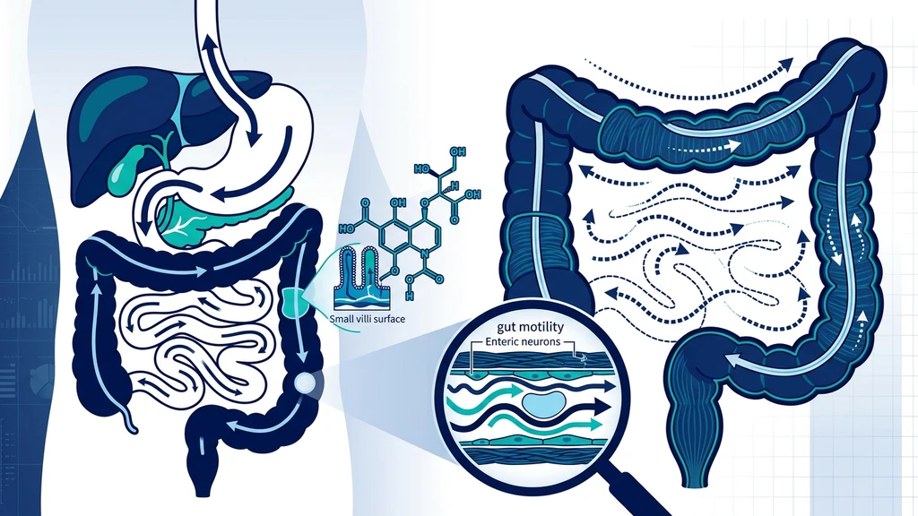 Tirzepatide and constipation mechanism and management