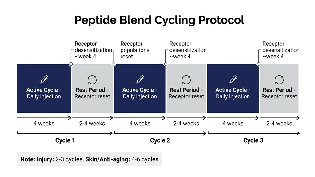 Peptide blend cycling protocol timeline showing 4-week on 2-4 week off pattern
