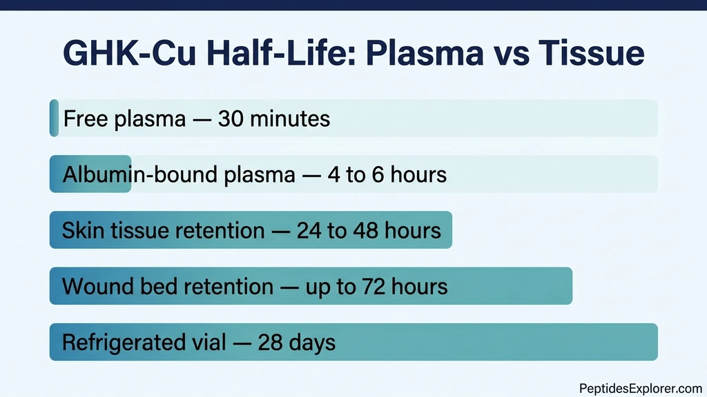 GHK-Cu half-life comparison: plasma vs tissue vs vial stability