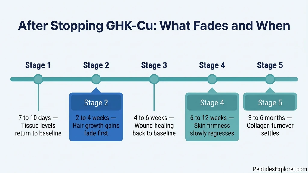 GHK-Cu stopping timeline: what fades and when