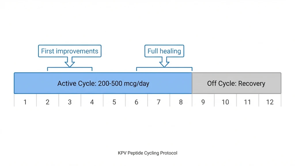 KPV peptide 12-week cycling protocol timeline with active and off phases
