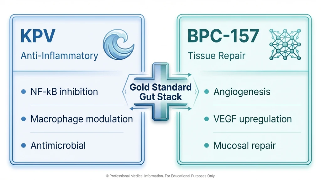 KPV vs BPC-157 comparison infographic for gut health stacking