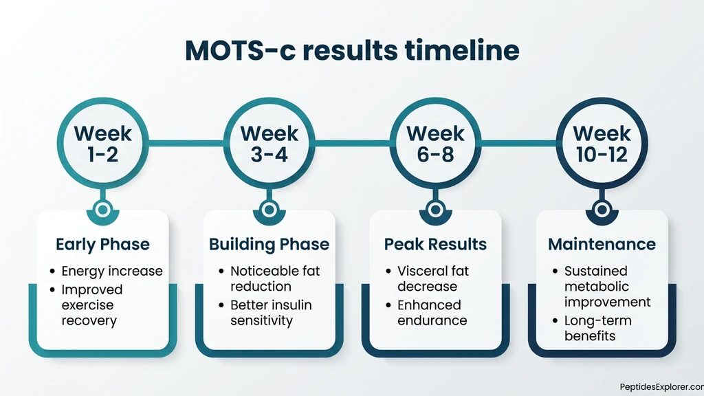 MOTS-c results timeline showing weekly progression from energy boost to peak body composition changes
