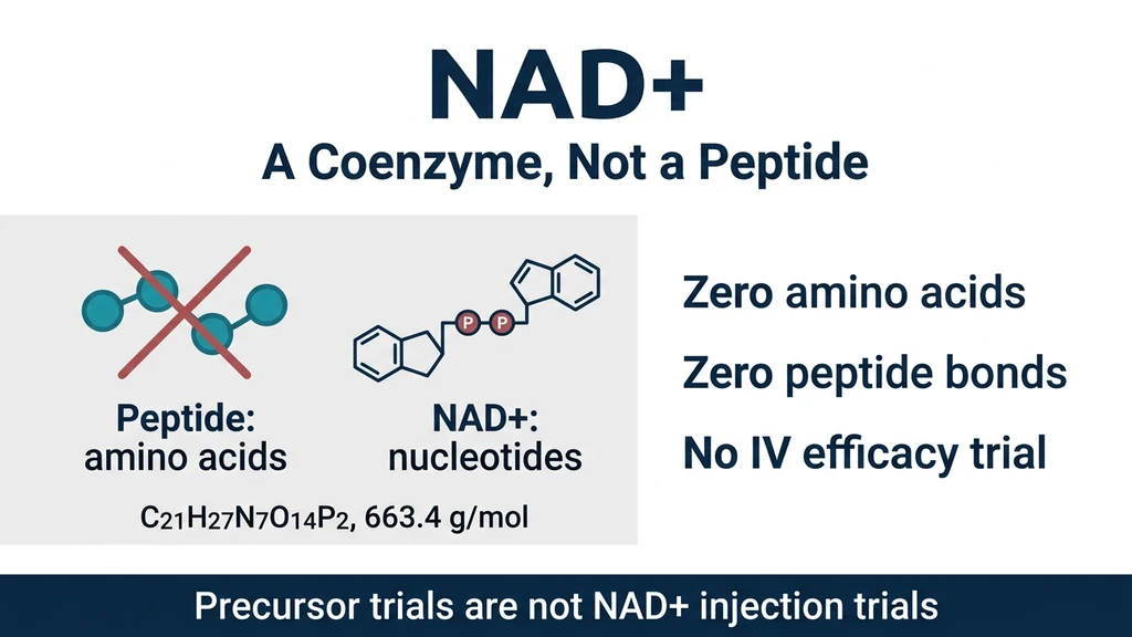 Diagram comparing the NAD+ dinucleotide structure to a peptide chain of amino acids