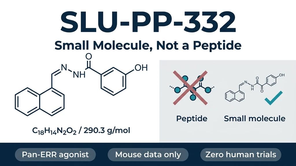 SLU-PP-332 molecular structure and the pan-ERR agonist mechanism, labelled small molecule not peptide